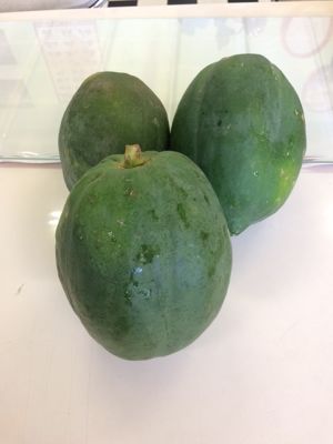 沖縄県産青パパイヤ販売Blue Sky Resort(ブルースカイリゾート)