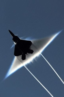 ブルースカイリゾートにしかない沖縄観光に必要な情報を提供します！