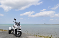 ブルースカイリゾートにしかない沖縄観光に必要な情報を提供します！